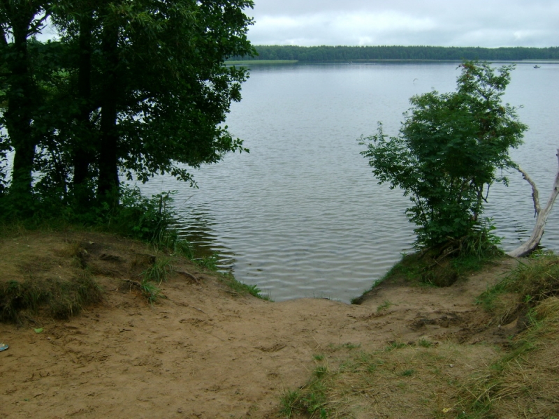 DSC01940