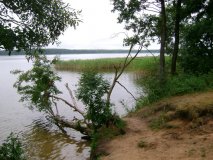 DSC01941