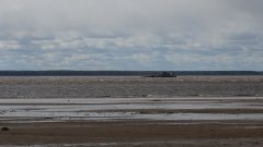 DSC01603