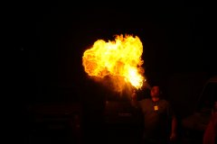IMG 0929