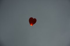 IMG 0808
