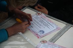 IMG 0772