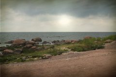 IMG 4982