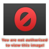 13373