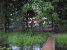 SDC12995.JPG