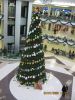 IMG_1152.JPG