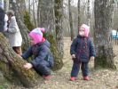 Файл=DSCN2493.jpg
Объём=179KB
Размеры=800x600
Дата=Апр 17, 2007 DSCN2493.jpg