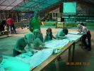 Файл=DSCN2380.JPG
Объём=478KB
Размеры=800x600
Дата=Май 19, 2010 DSCN2380.JPG