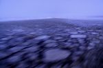 IMG_1529.jpg