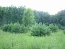 DSCF4340.JPG