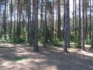 PICT0009.JPG