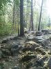 Файл=DSC06635.JPG
Объём=174KB
Размеры=480x640
Дата=Авг 09, 2010 DSC06635.JPG
