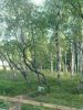 Файл=DSC06661.JPG
Объём=193KB
Размеры=480x640
Дата=Авг 09, 2010 DSC06661.JPG