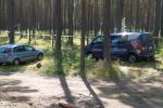 IMG_0783~1.jpg