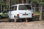 Файл=IMG_1329.jpg
Объём=206KB
Размеры=800x533
Дата=Июль 15, 2010 IMG_1329.jpg