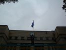 DSC01493.jpg