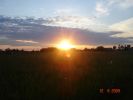 Файл=DSC06924.jpg
Объём=110KB
Размеры=1024x768
Дата=Июнь 15, 2009 DSC06924.jpg