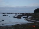 Файл=DSC07986.jpg
Объём=85KB
Размеры=800x600
Дата=Июль 06, 2009 DSC07986.jpg