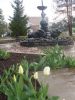 SDC13457.JPG