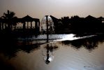 DSC_0111.JPG