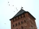 IMG_3019.jpg