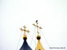 IMG_3029.jpg