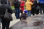Файл=DSC_0316~0.JPG
Объём=224KB
Размеры=640x426
Дата=Нояб 07, 2010 DSC_0316~0.JPG