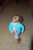 Файл=DSC_0478.JPG
Объём=222KB
Размеры=426x640
Дата=Нояб 09, 2010 DSC_0478.JPG