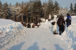 DSC_0977.JPG