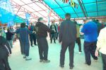 Файл=DSC_0446.jpg
Объём=296KB
Размеры=800x532
Дата=Май 21, 2010 DSC_0446.jpg